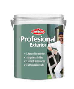 PROFESIONAL EXTERIOR