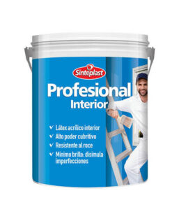PROFESIONAL INTERIOR
