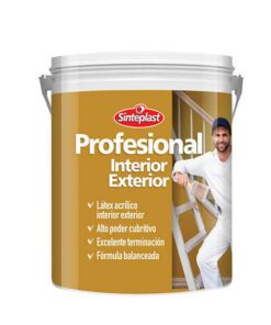 PROFESIONAL INTERIOR / EXTERIOR